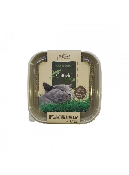CATFIELD GREEN CAT - CATFLD007-1