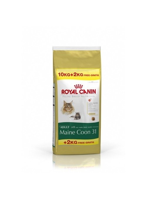 Royal Canin Maine Coon Adult Promoção-RCMAINECO12
