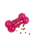 NBZ11698.JPG - Nobleza Brinquedo Osso