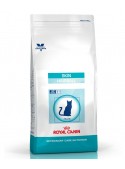 Royal Canin Skin Hairball Cat-RCSKHAI04