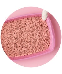 Biodegradáveis