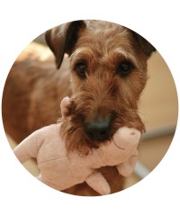 Peluches