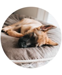 Camas y almohadas