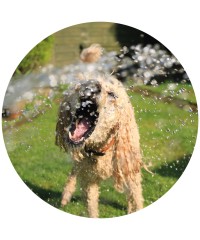 Casetas para perros y exterior