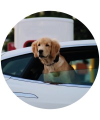 Automóvil