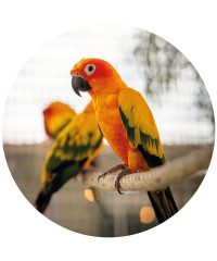 Juguetes