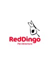 RED DINGO